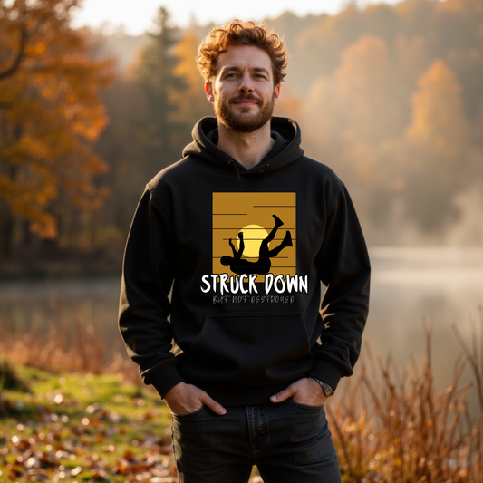 Struck down but Not Destroyed